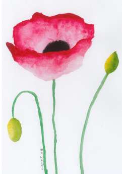Art Prints
