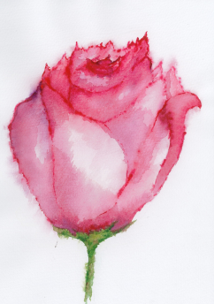 A4 Art Prints
