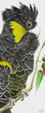 'Yanggai' Mini Bookmark
