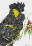 A4 Art Prints