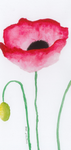 Tiny Bookmarks
