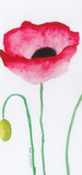 Tiny Bookmarks
