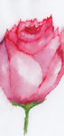 Tiny Bookmarks